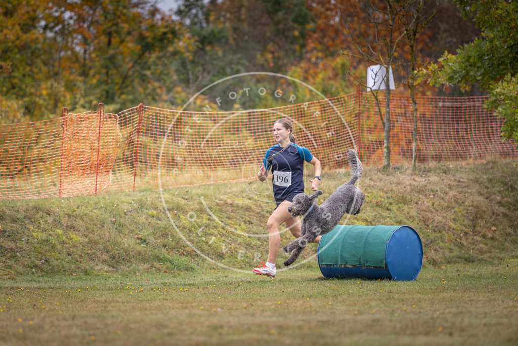 Pfotenfotografie_DV3A1401 | Hundefotografie, Tierfotograf, Pfotenfotografie, Fotoshooting Hund, Hunde Portrait, Hundesport, Hundeportraits, Heideshooting, Hunde, Sportfotograf, Hundefotograf, Turnierhundsport, THS,  - Realisiert mit Pictrs.com