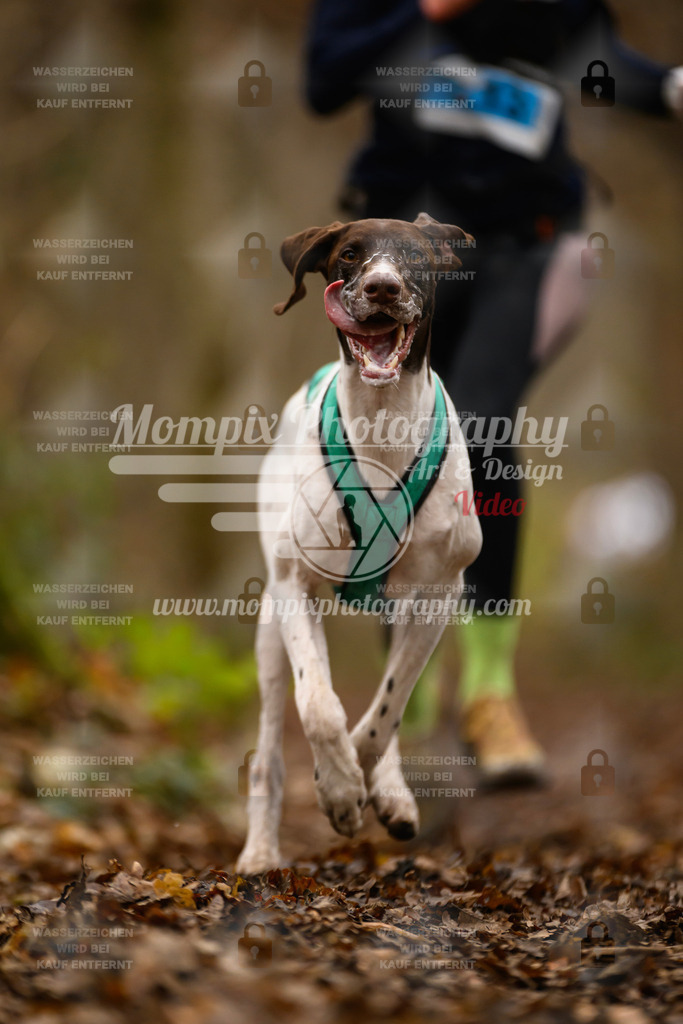 MompixPhotography_Eschau2024_CCC-46 | PayLife