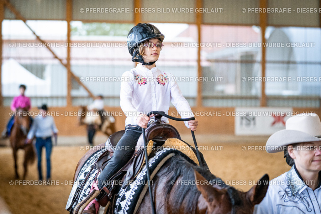 DSC00831 | Pferdegrafie