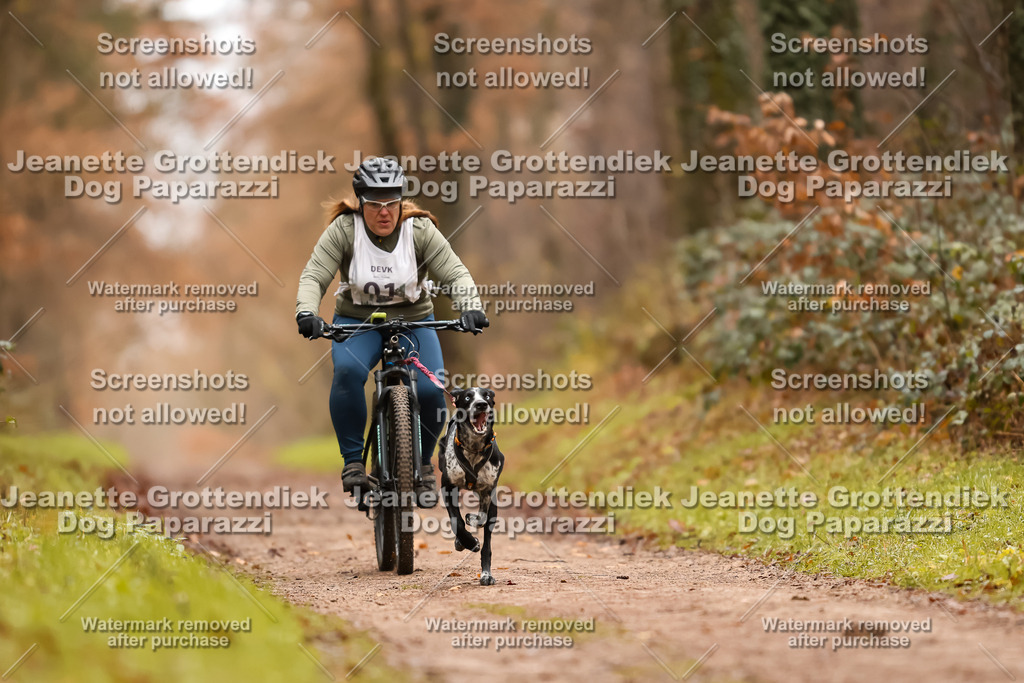 Dog Paparazzi - Speedhunter Mannheim  2025-2 | Dog Paparazzi Jeanette Grottendiek Fotografie & Videografie