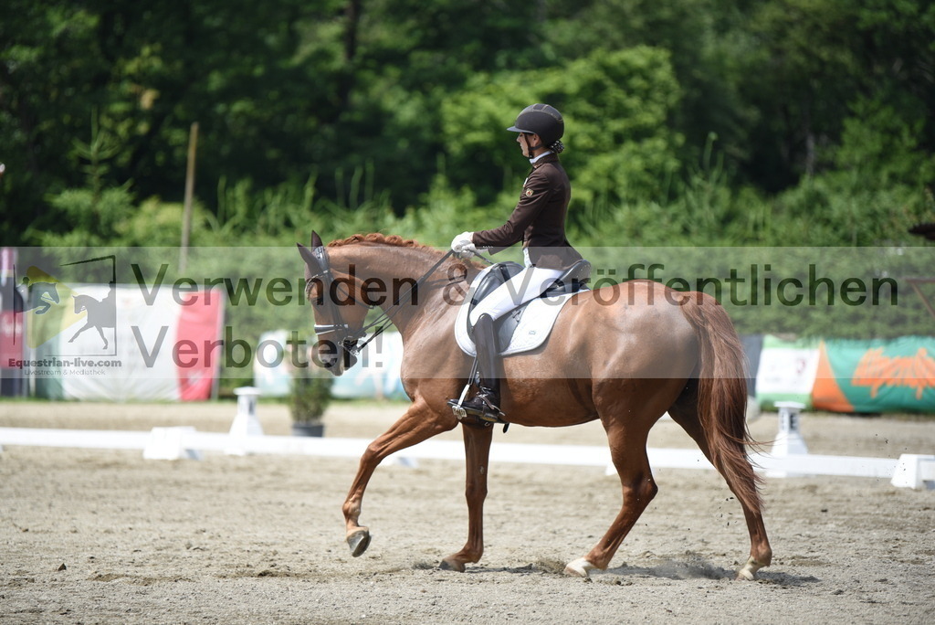 DSC_9265 | equestrian-live-com