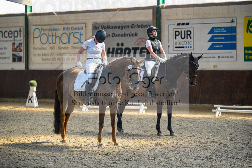 Reitturnier Voxtrup | Entdecke hochwertige Reitturnierfotos von Foto Oger. Professionell, emotional und authentisch – jetzt Lieblingsmomente im Shop bestellen.Deutschlandweite Turnierfotografie. - Realisiert mit Pictrs.com