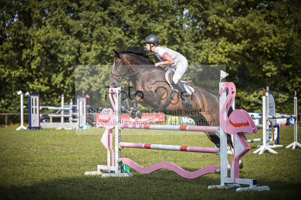 DOS_0115 | Entdecke hochwertige Reitturnierfotos von Foto Oger. Professionell, emotional und authentisch – jetzt Lieblingsmomente im Shop bestellen.Deutschlandweite Turnierfotografie. - Realisiert mit Pictrs.com