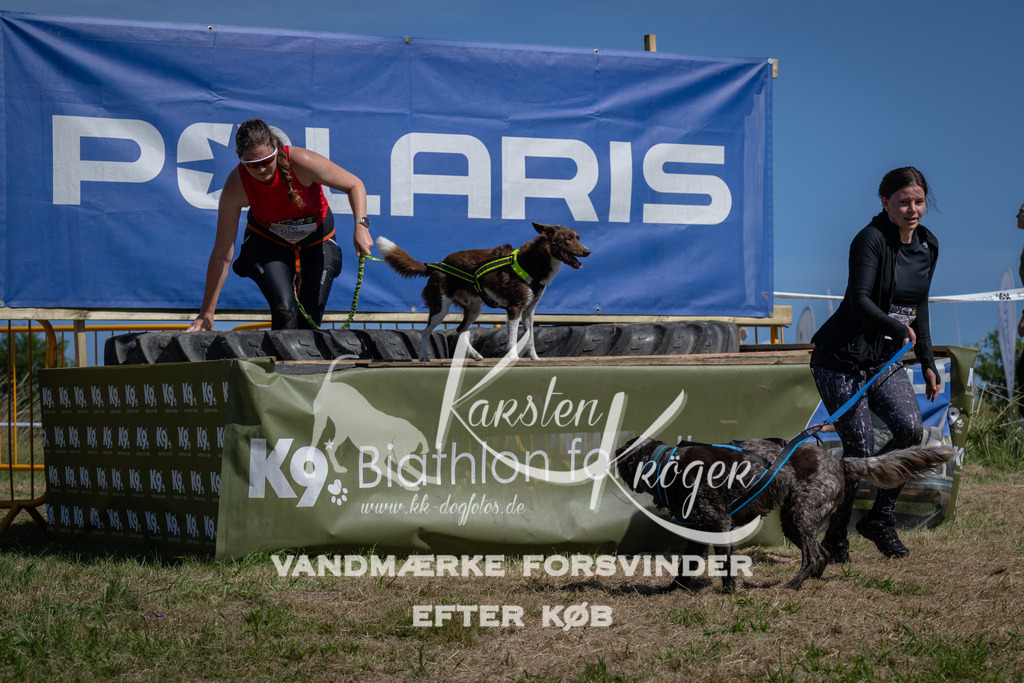 1206_ZZ94011 | kk-dogfotos