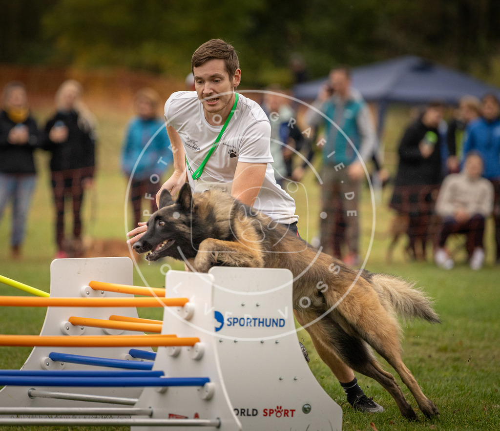 Pfotenfotografie_DV3A6994 | Hundefotografie, Tierfotograf, Pfotenfotografie, Fotoshooting Hund, Hunde Portrait, Hundesport, Hundeportraits, Heideshooting, Hunde, Sportfotograf, Hundefotograf, Turnierhundsport, THS,  - Realisiert mit Pictrs.com