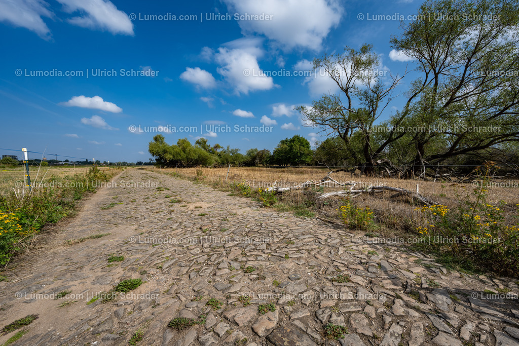 10049-12567 - Am Elberadweg | Stockfoto und Bilderpool mit Bildmaterial aus Deutschland, dem Harz, Halberstadt, Quedlinburg, Wernigerode und weltweit. Qualitativ hochwertige und professionelle Fotos anschauen und kaufen. - Realisiert mit Pictrs.com
