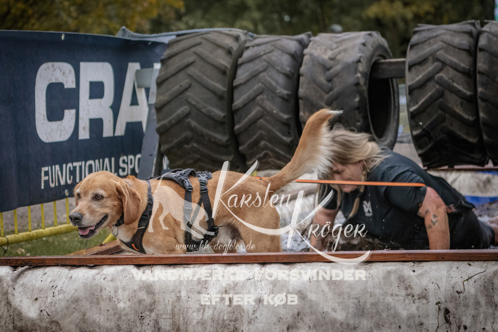 1705_ZZ94888 | kk-dogfotos