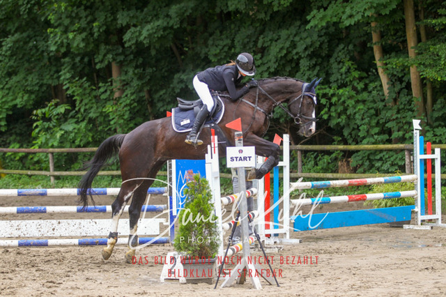 DKP44977 | Turnierfotos kaufen im Webshop von Daniel Kuhl Photography – entdecke professionelle Reitsportfotos aus Turnieren & Events. Hochwertige Turnierbilder online bestellen & sichern. Jetzt Fotos von Reitsportturnieren kaufen!