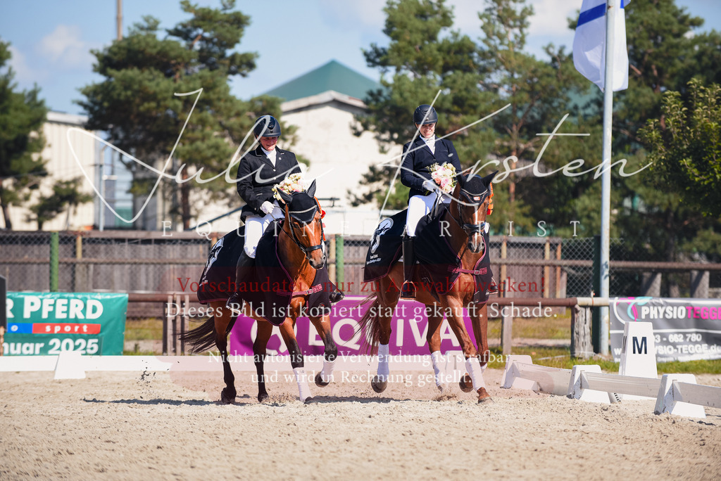 DSC_9820 | Pferde- und Turnierfotografie in Westsachsen. Pferdeportraits, Auftragszeichnungen und intuitive Kunst.