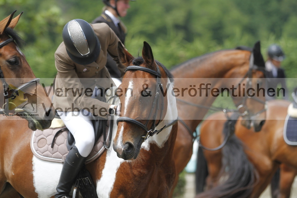 _MG_4528 | equestrian-live-com