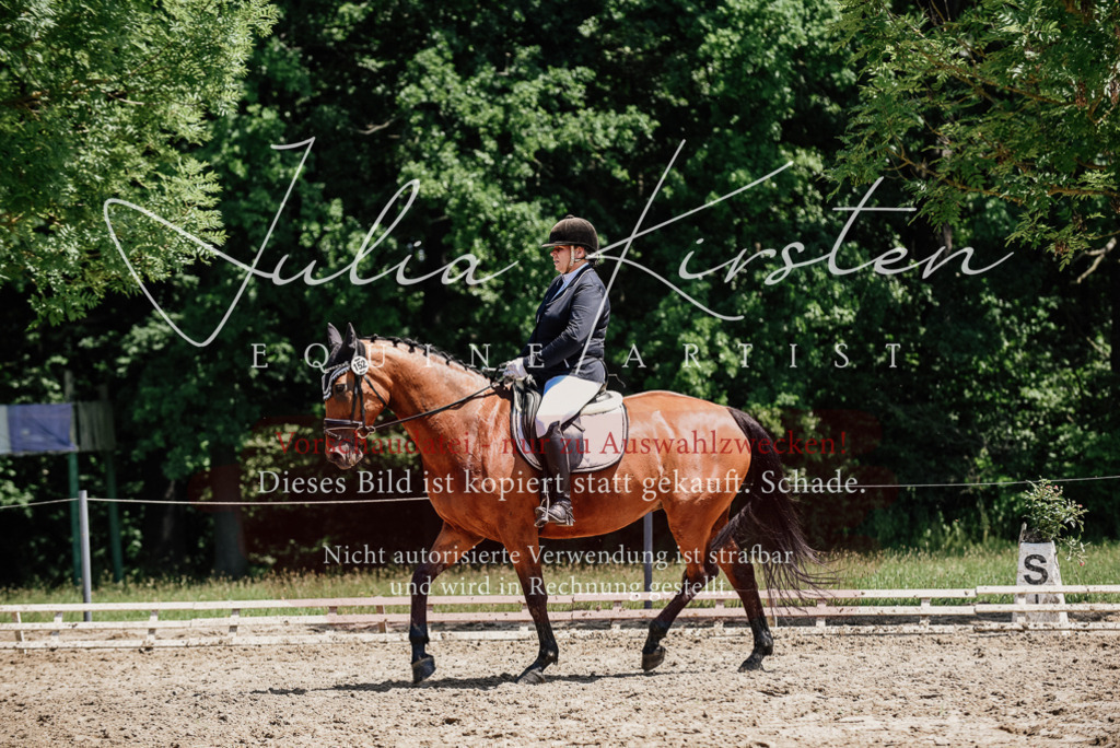 DSC_1992 | Pferde- und Turnierfotografie in Westsachsen. Pferdeportraits, Auftragszeichnungen und intuitive Kunst.