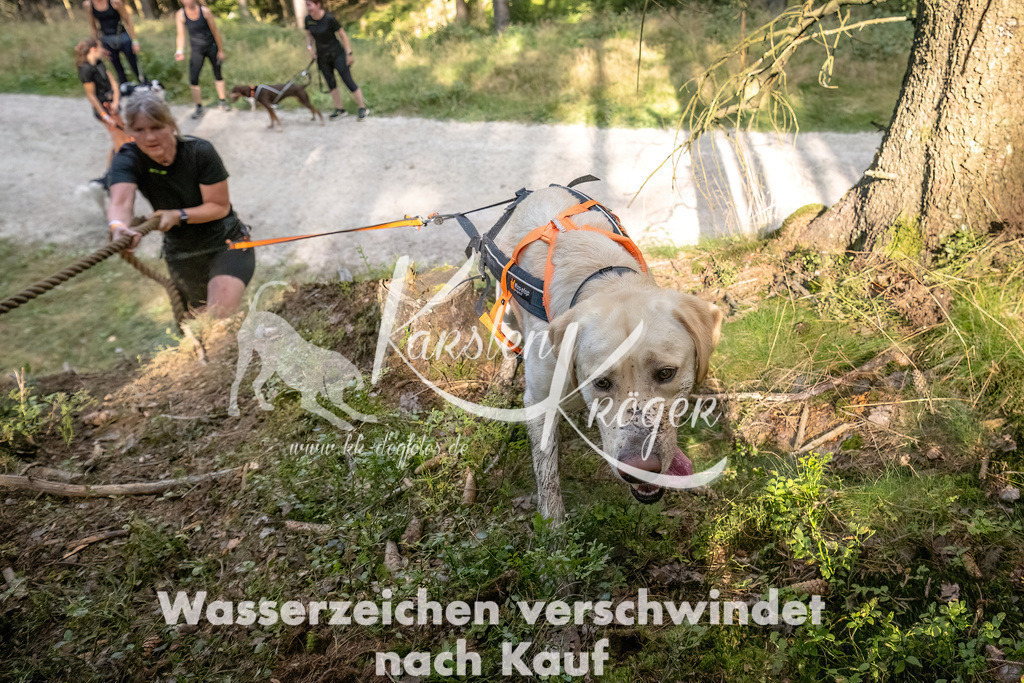 1047_ZZ92452 | kk-dogfotos