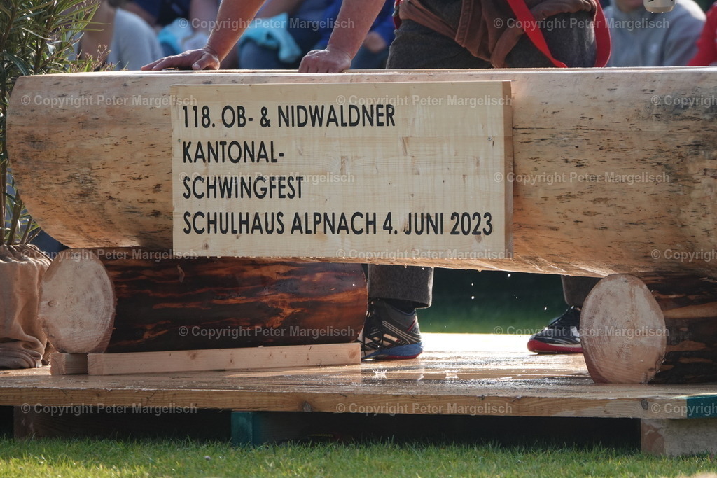 DSC04444 | Schwingen - Realisiert mit Pictrs.com