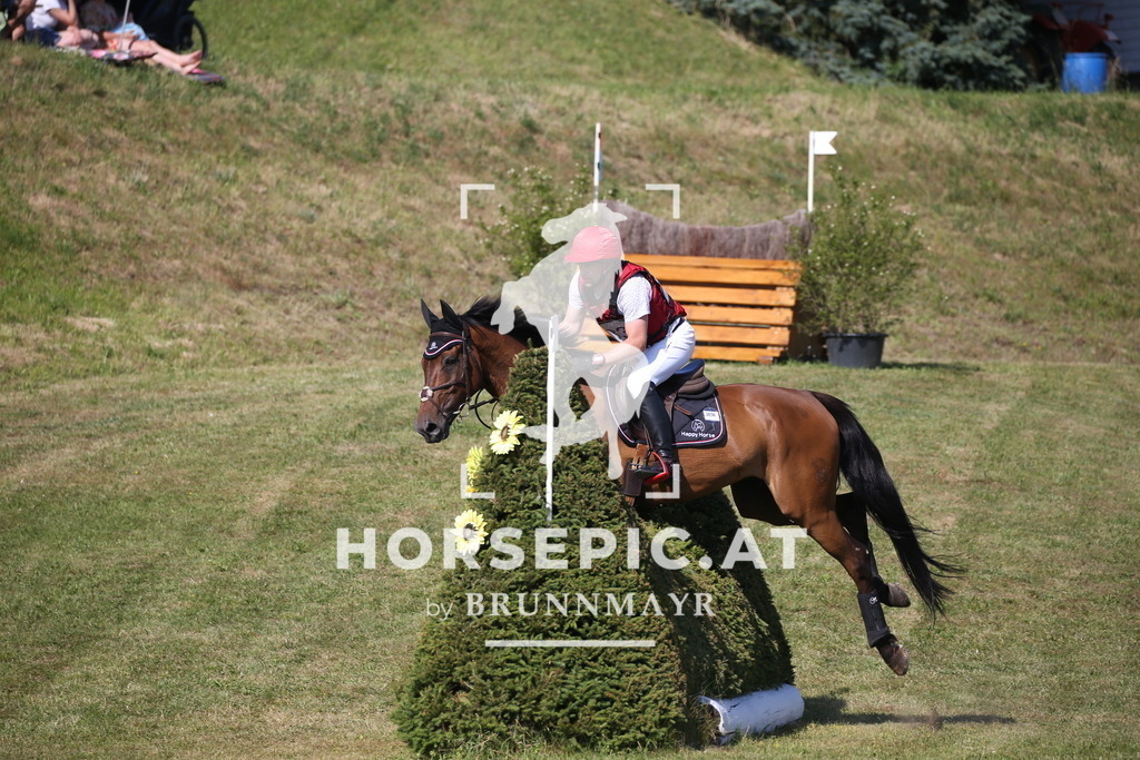 DL2Q2041 | Willkommen bei Brunnmayr - Design & Fotografie – Ihrem Spezialisten für Reitturniere und Pferdeveranstaltungen in Oberösterreich, Salzburg und Bayern! Seit über 17 Jahren sind wir leidenschaftlich dabei.