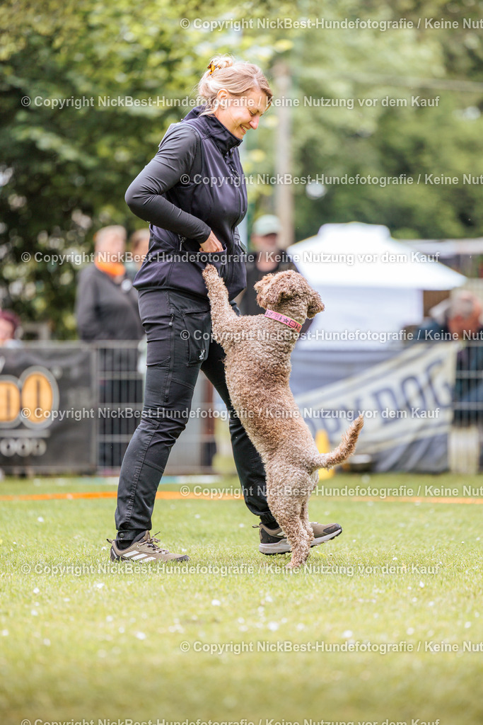 RO-Blumenthal-2026-Nickbest-Hundefotografie-2076 | Dein Hund! Dein Moment! Deine Erinnerungen! Hundefotografie in Bremen Blumenthal. Ich fange die besonderen Momente deines Vierbeiners ein – ob Indoor mit Blitzanlage oder in der freien Natur. Sicher dir dein Moment und dein Termin für eure Erinnerungen.