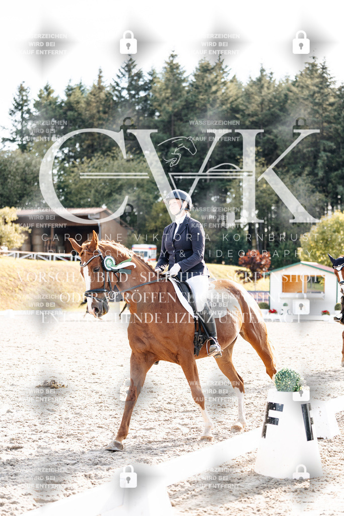 CK901791 | Turnierfotografie Pferdefotografie Trier Rheinland-Pfalz Pferdesport Reitsport Tierfotografie Sportfotografie Pferdevideo Pferdevideografie Equestrianvideography equestrianphotography  - Realisiert mit Pictrs.com