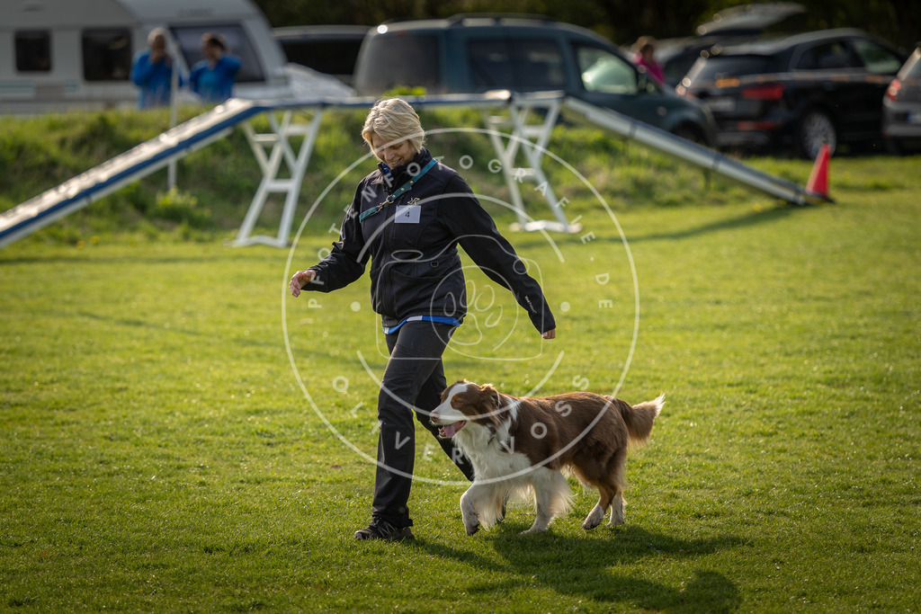 Pfotenfotografie_DV3A4786 | Hundefotografie, Tierfotograf, Pfotenfotografie, Fotoshooting Hund, Hunde Portrait, Hundesport, Hundeportraits, Heideshooting, Hunde, Sportfotograf, Hundefotograf, Turnierhundsport, THS,  - Realisiert mit Pictrs.com