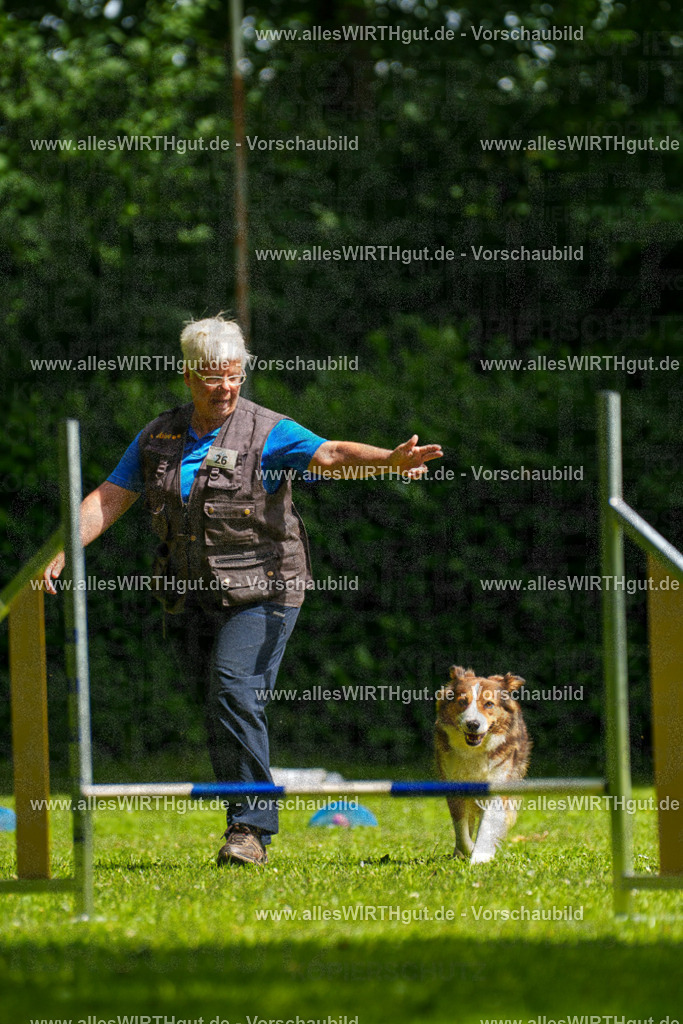@allesWIRTHgut_Tierfotografie - www.allesWIRTHgut.de - 100531-7R508011 | Professionelle Tierfotografie in Mönchengladbach von Daniel Wirth (allesWIRTHgut). Liebevolle & natürliche Bilder von Hunden & Katzen für unvergessliche Erinnerungen.
