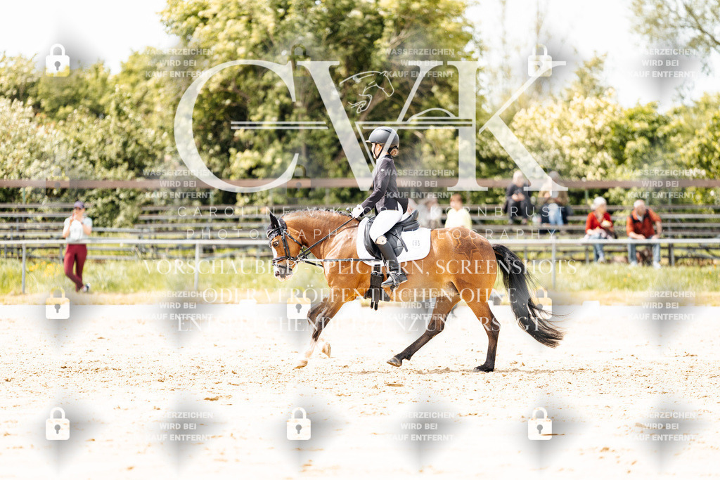 CK902401 | Turnierfotografie Pferdefotografie Trier Rheinland-Pfalz Pferdesport Reitsport Tierfotografie Sportfotografie Pferdevideo Pferdevideografie Equestrianvideography equestrianphotography  - Realisiert mit Pictrs.com