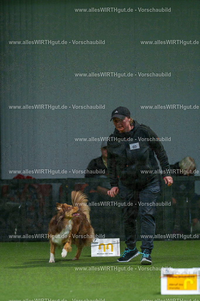 7R507242 | Professionelle Tierfotografie in Mönchengladbach von Daniel Wirth (allesWIRTHgut). Liebevolle & natürliche Bilder von Hunden & Katzen für unvergessliche Erinnerungen.