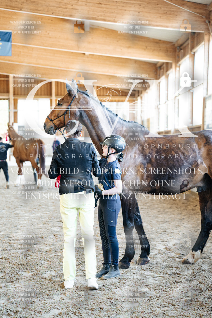 CK703203 | Turnierfotografie Pferdefotografie Trier Rheinland-Pfalz Pferdesport Reitsport Tierfotografie Sportfotografie Pferdevideo Pferdevideografie Equestrianvideography equestrianphotography  - Realisiert mit Pictrs.com