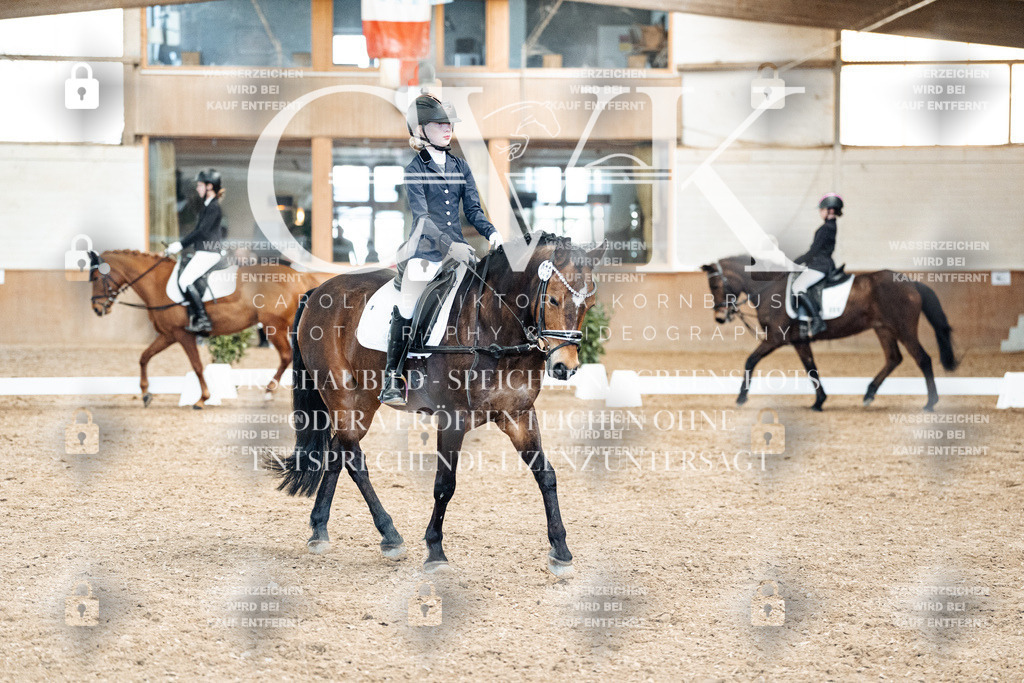 CK900597 | Turnierfotografie Pferdefotografie Trier Rheinland-Pfalz Pferdesport Reitsport Tierfotografie Sportfotografie Pferdevideo Pferdevideografie Equestrianvideography equestrianphotography  - Realisiert mit Pictrs.com