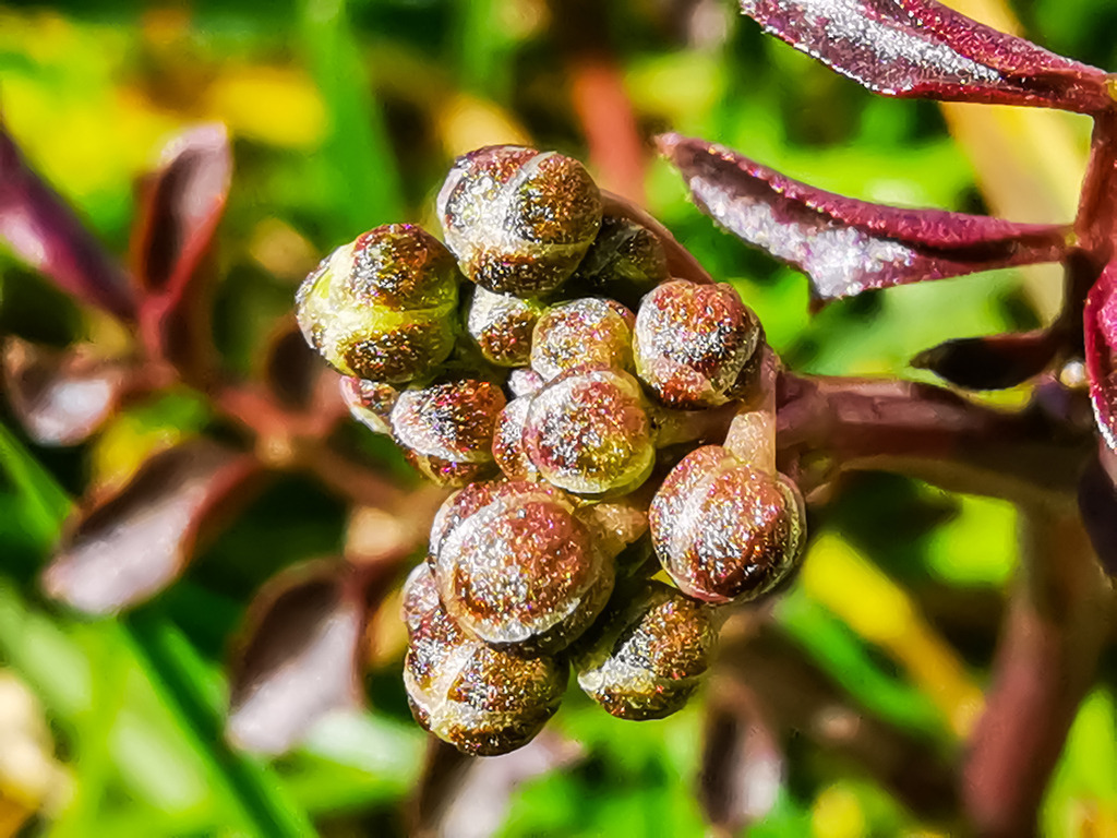 PSX_20230313_223633 | mtkfoto_ - Realisiert mit Pictrs.com