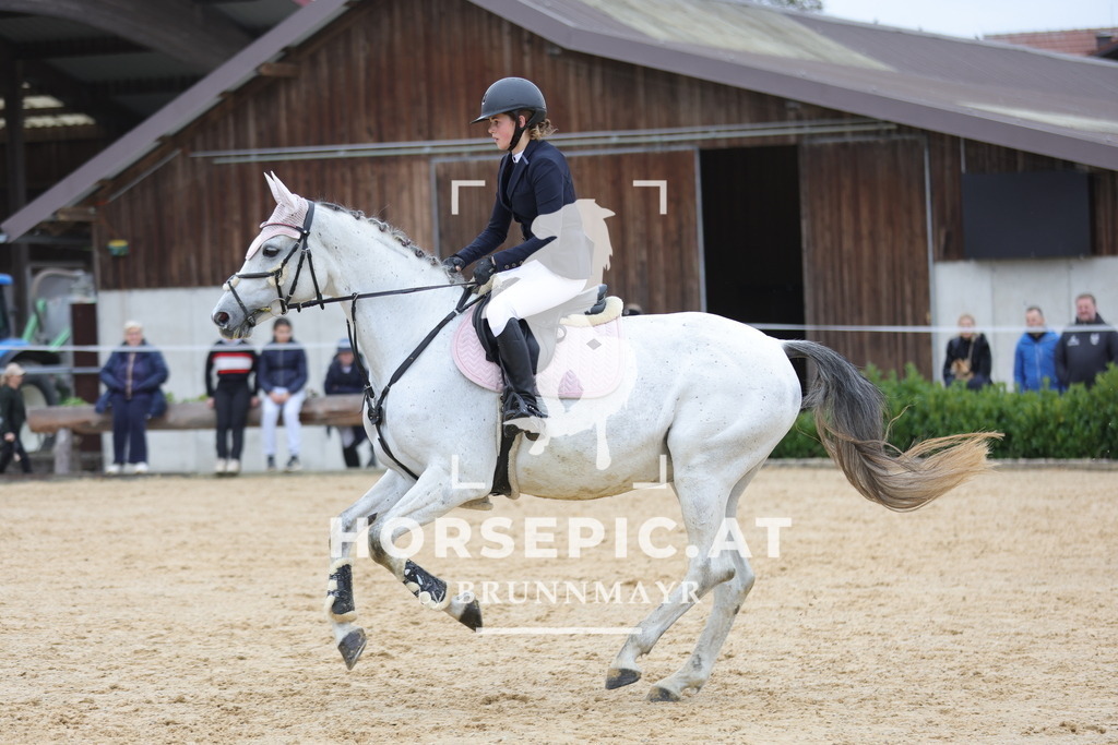 0P6A1296 | Willkommen bei Brunnmayr - Design & Fotografie – Ihrem Spezialisten für Reitturniere und Pferdeveranstaltungen in Oberösterreich, Salzburg und Bayern! Seit über 17 Jahren sind wir leidenschaftlich dabei.
