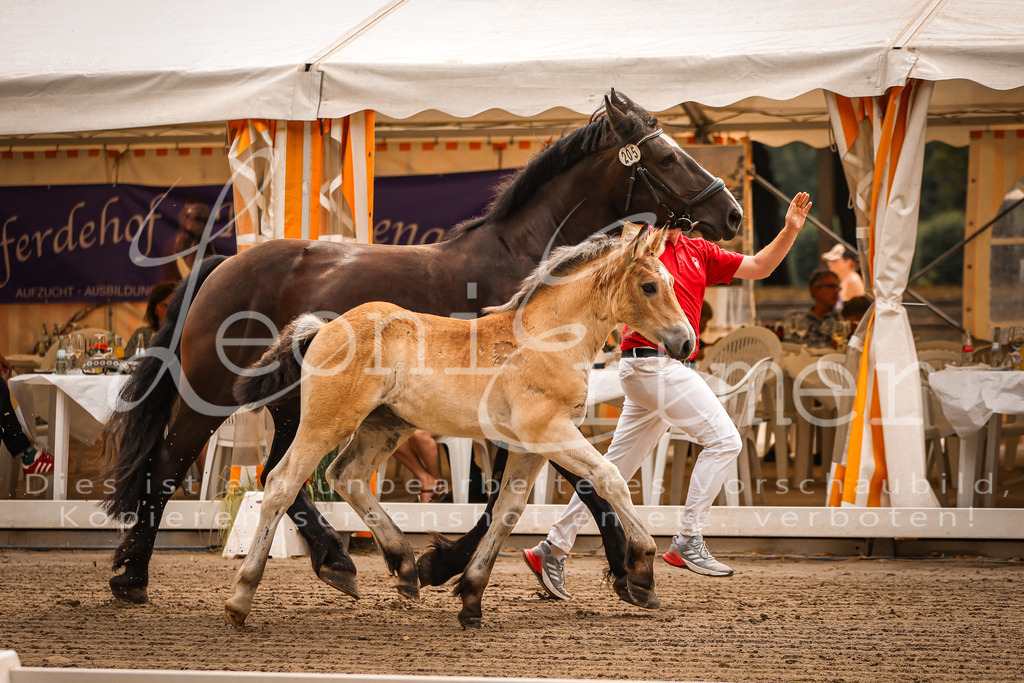 SaSF00031 | Leoni Ertmer Photography - Realisiert mit Pictrs.com