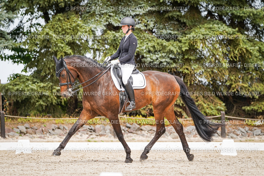 DSC05868 | Pferdegrafie