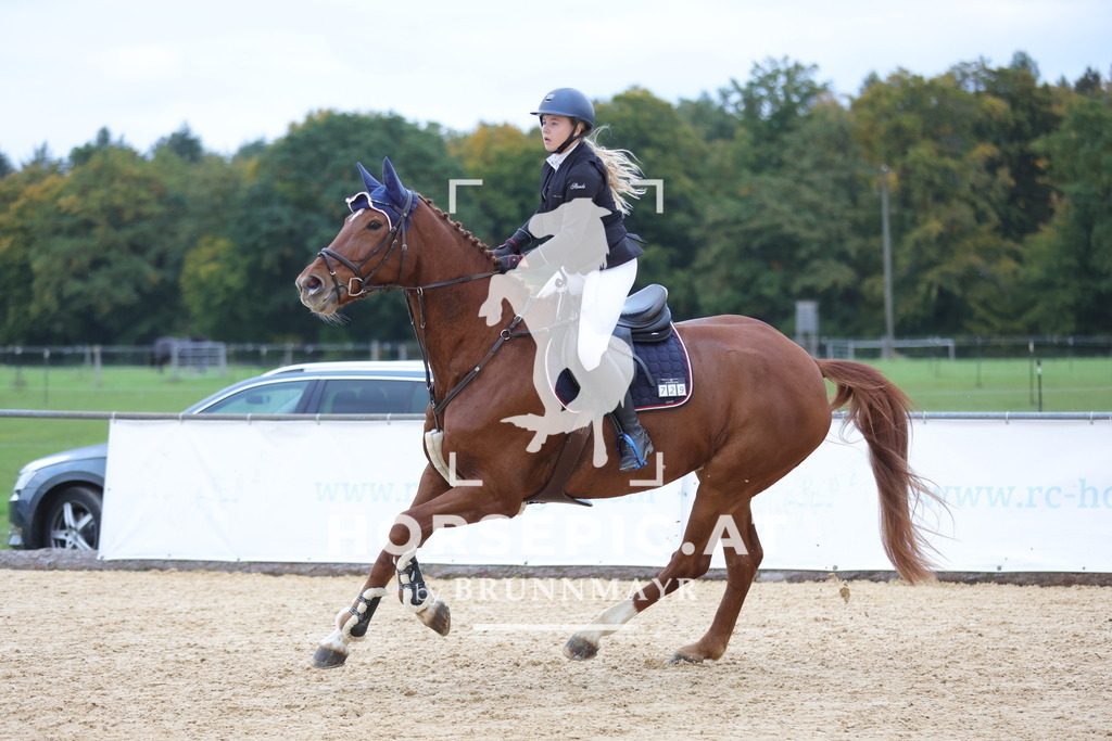 0P6A0338 | Willkommen bei Brunnmayr - Design & Fotografie – Ihrem Spezialisten für Reitturniere und Pferdeveranstaltungen in Oberösterreich, Salzburg und Bayern! Seit über 17 Jahren sind wir leidenschaftlich dabei.