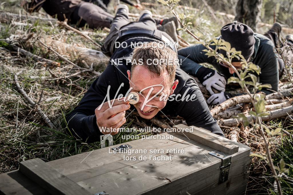 NR__2014 | nelerasche