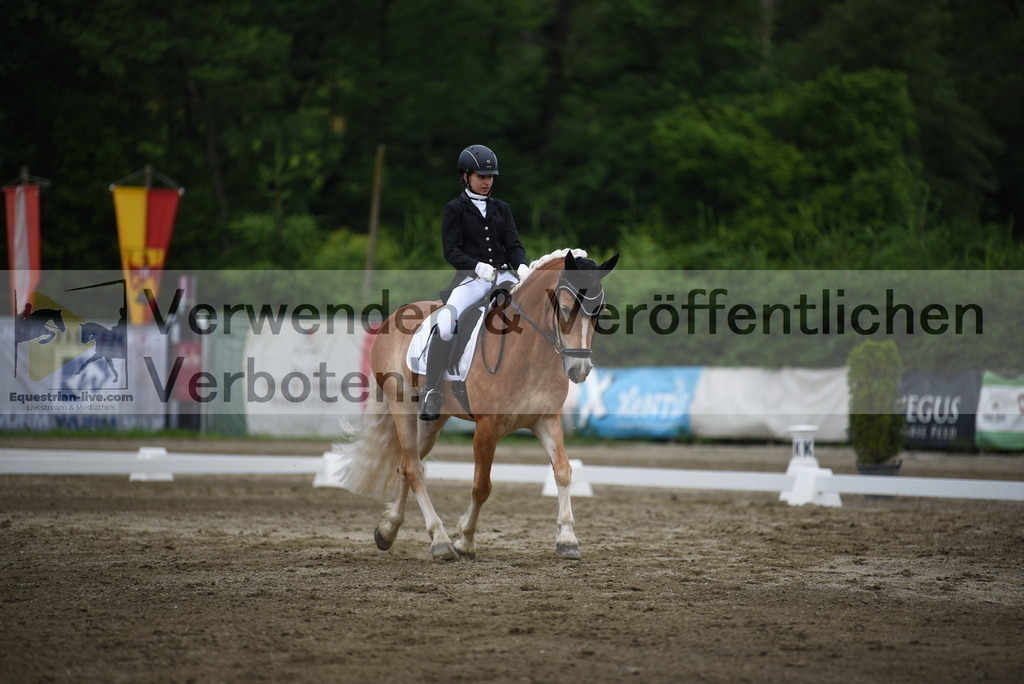 DSC_7921 | equestrian-live-com
