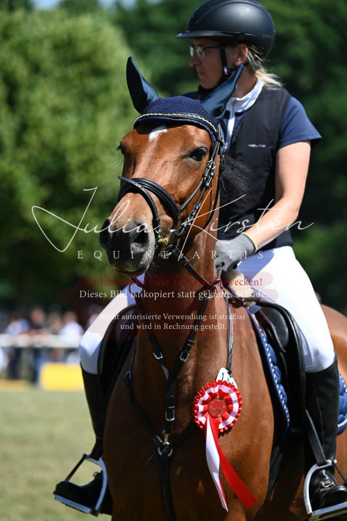 DSC_0889 | Pferde- und Turnierfotografie in Westsachsen. Pferdeportraits, Auftragszeichnungen und intuitive Kunst.