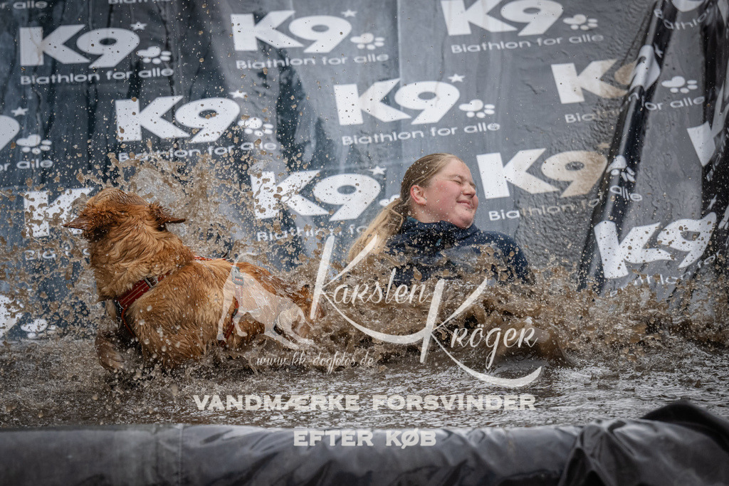 1203_ZZ94152 | kk-dogfotos