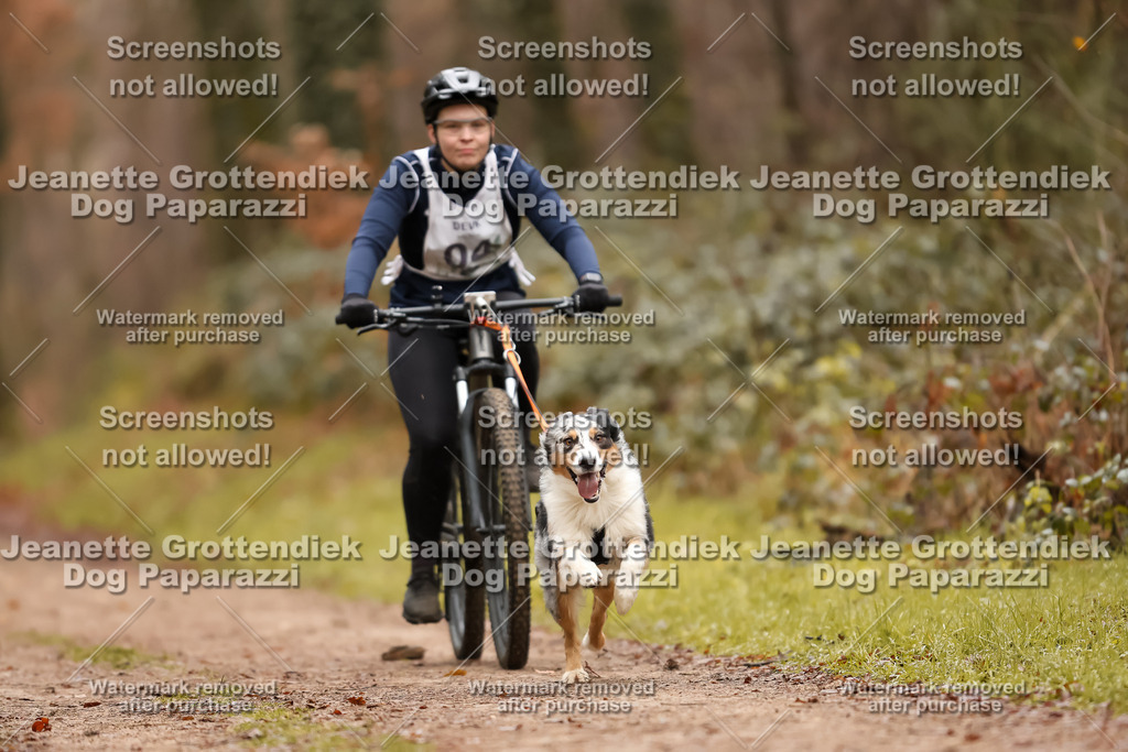 Dog Paparazzi - Speedhunter Mannheim  2025-11 | Dog Paparazzi Jeanette Grottendiek Fotografie & Videografie