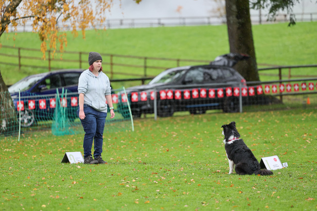 2025_Rally_Obedience_SM-35 | Ich fotografiere Hundeausstellungen, Sportanlässe, Zuchtstätten, Hundezucht, Hundeportrait, Lagotto - Realisiert mit Pictrs.com