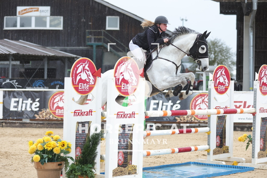 0P6A0016 | Willkommen bei Brunnmayr - Design & Fotografie – Ihrem Spezialisten für Reitturniere und Pferdeveranstaltungen in Oberösterreich, Salzburg und Bayern! Seit über 17 Jahren sind wir leidenschaftlich dabei.