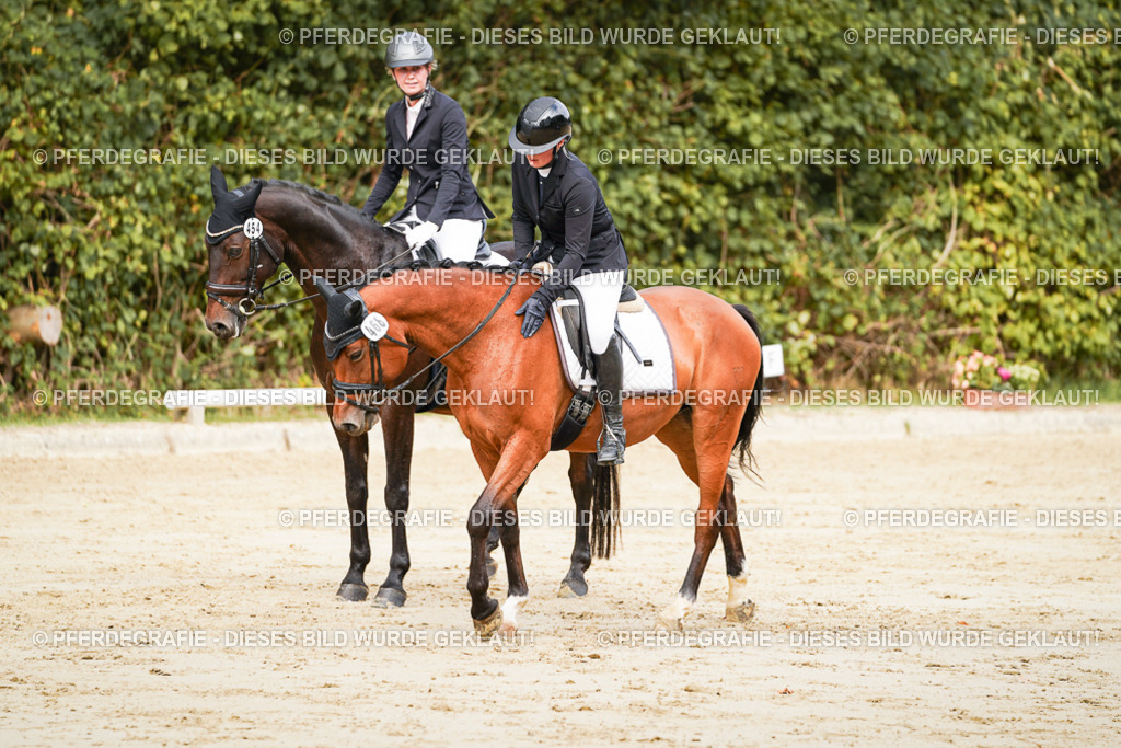 DSC01781 | Pferdegrafie