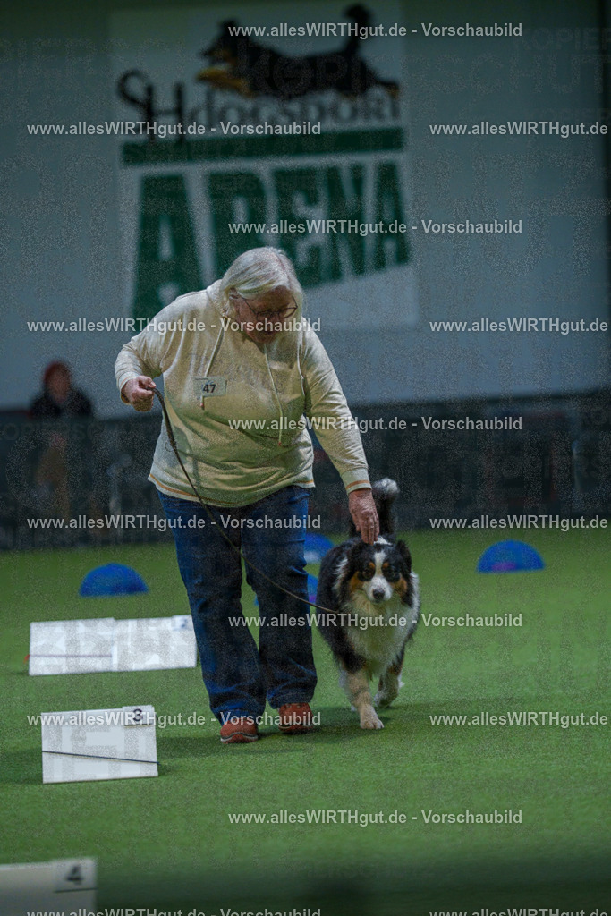 7R501429 | Professionelle Tierfotografie in Mönchengladbach von Daniel Wirth (allesWIRTHgut). Liebevolle & natürliche Bilder von Hunden & Katzen für unvergessliche Erinnerungen.