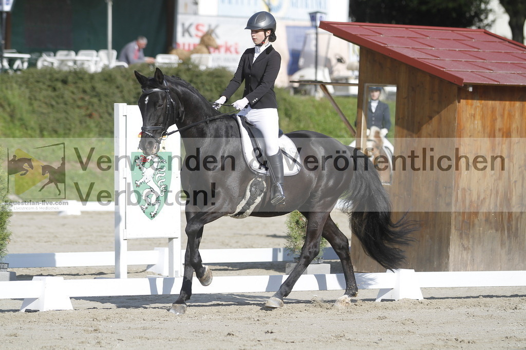_MG_9154 | equestrian-live-com