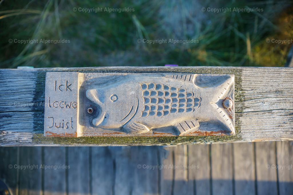 Juist-046 | Juist Nordsee - Realisiert mit Pictrs.com