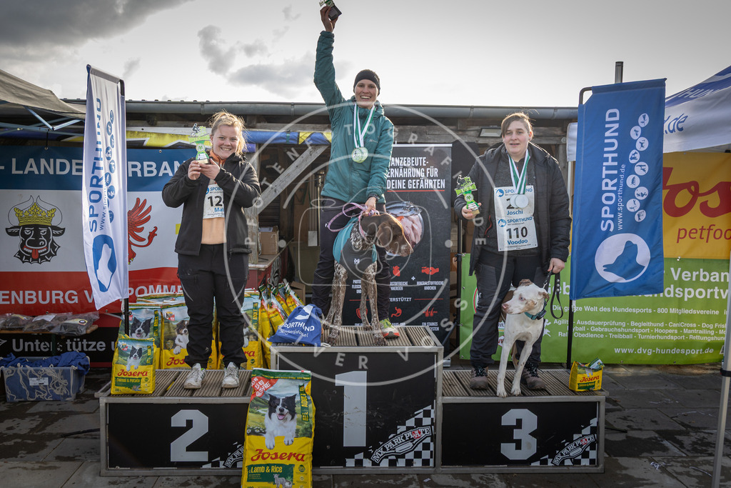 0L8A9194 | Hundefotografie, Tierfotograf, Pfotenfotografie, Fotoshooting Hund, Hunde Portrait, Hundesport, Hundeportraits, Heideshooting, Hunde, Sportfotograf, Hundefotograf, Turnierhundsport, THS,  - Realisiert mit Pictrs.com