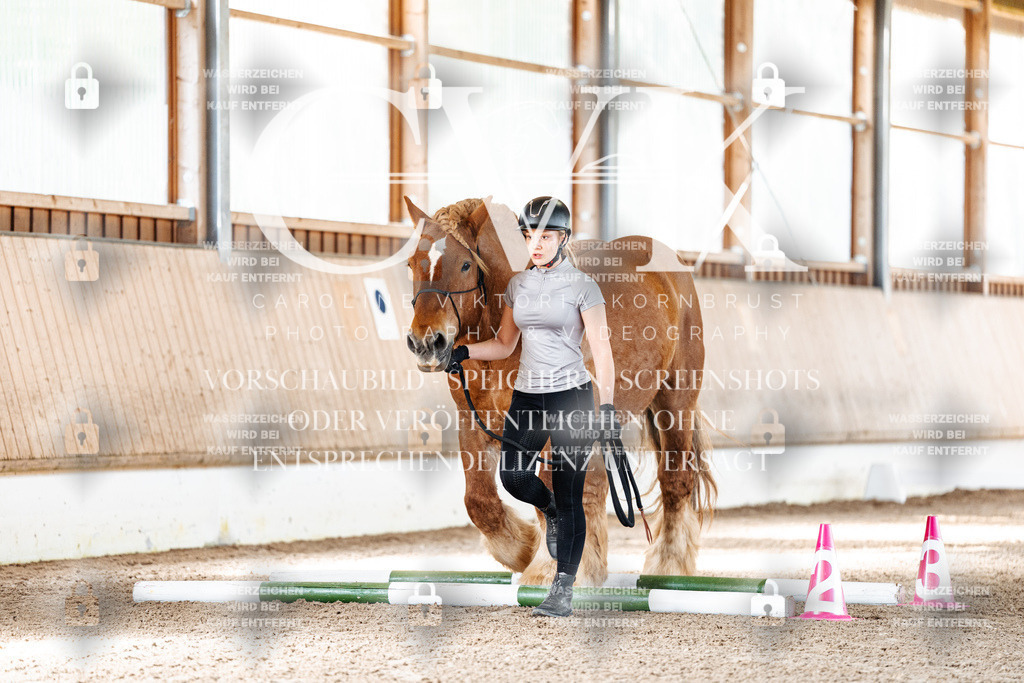CK905439 | Turnierfotografie Pferdefotografie Trier Rheinland-Pfalz Pferdesport Reitsport Tierfotografie Sportfotografie Pferdevideo Pferdevideografie Equestrianvideography equestrianphotography  - Realisiert mit Pictrs.com