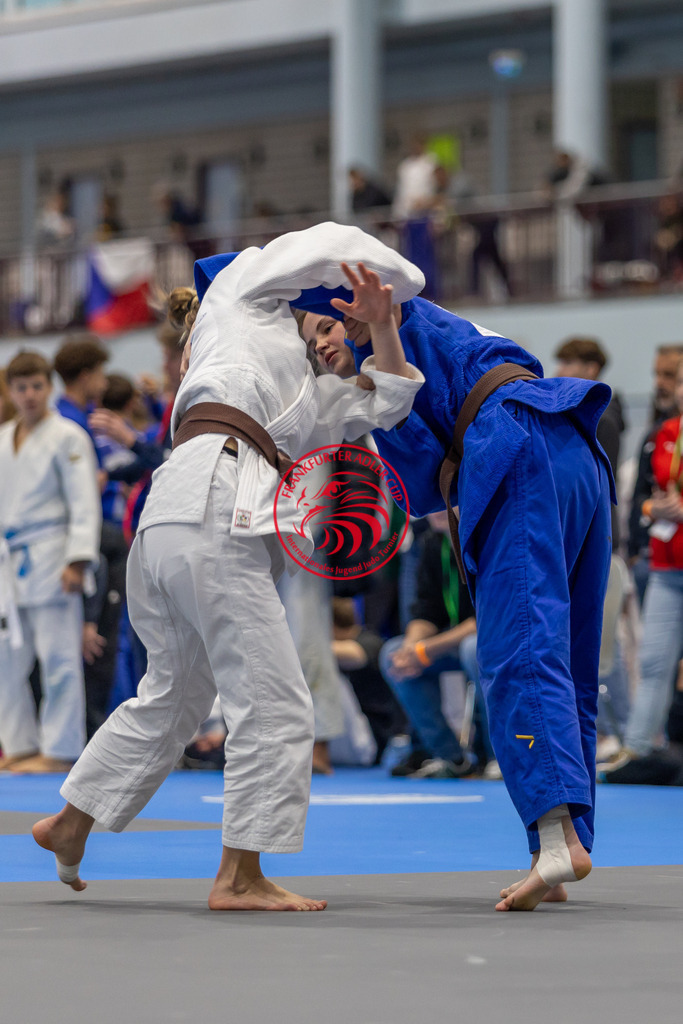 Internationaler Adler Cup 2024 | Foto vom Internationalen Adler Cup Judo Turnier im Sport- und Freizeitzentrum Kalbach im Oktober 2024 - Realisiert mit Pictrs.com