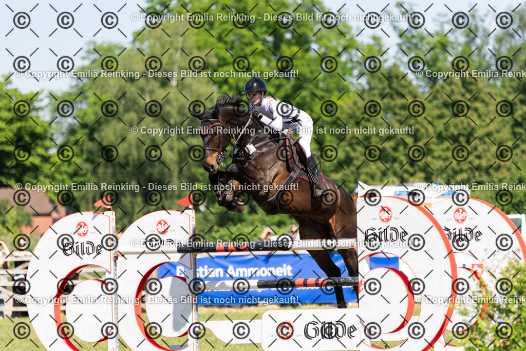 CL5A1330 | Emilia Reinking Fotografie - Realisiert mit Pictrs.com