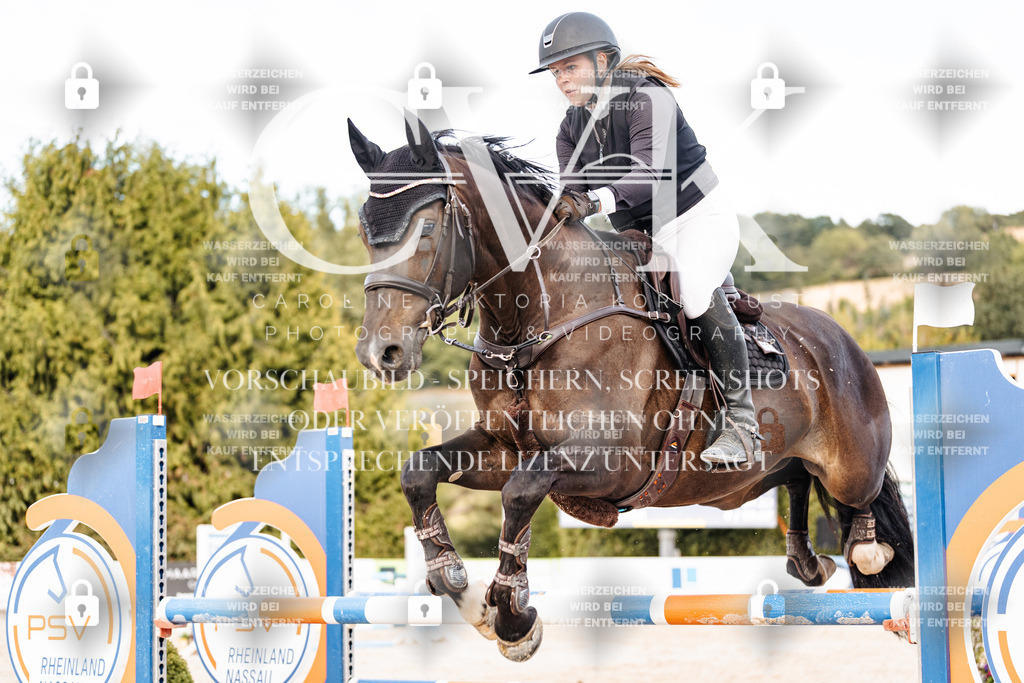 CK903705 | Turnierfotografie Pferdefotografie Trier Rheinland-Pfalz Pferdesport Reitsport Tierfotografie Sportfotografie Pferdevideo Pferdevideografie Equestrianvideography equestrianphotography  - Realisiert mit Pictrs.com