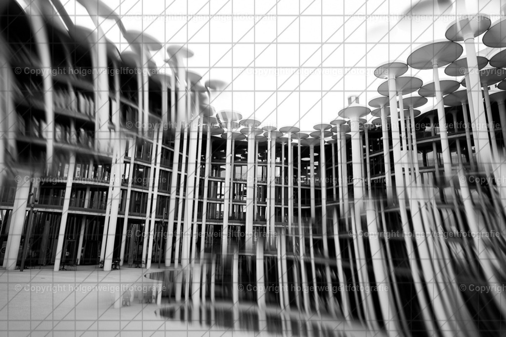 20260703204011Z63_5377 | Kaufen sie online außergewöhnliche Fotografien auf Leinwand Acrylglas Fotoprint Aludibond von holgerweigeltfotografie - Realisiert mit Pictrs.com