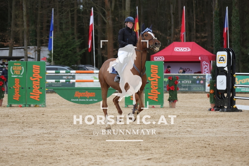 0P6A5361 | Willkommen bei Brunnmayr - Design & Fotografie – Ihrem Spezialisten für Reitturniere und Pferdeveranstaltungen in Oberösterreich, Salzburg und Bayern! Seit über 17 Jahren sind wir leidenschaftlich dabei.