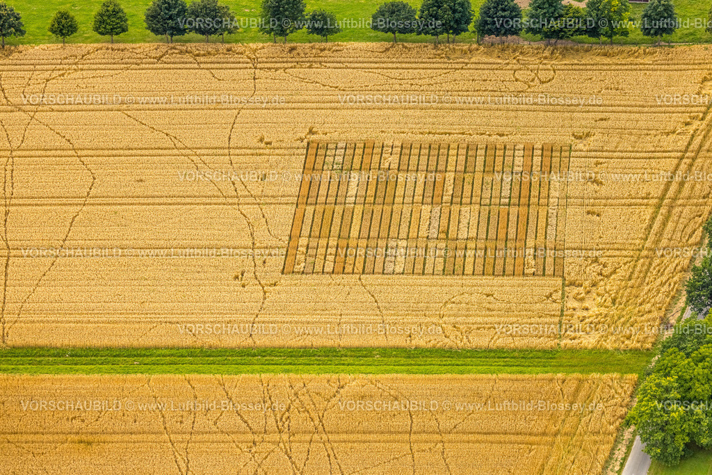 Warstein240713598Belecke | Luftbild, Spuren in der Landschaft, Muster in einem landwirtschaftlichen Feld am Haarweg, Belecke, Warstein, Sauerland, Nordrhein-Westfalen, Deutschland